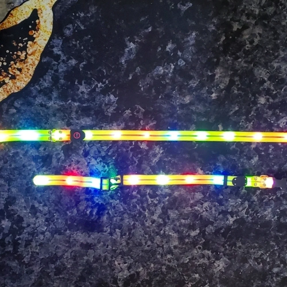 Light Up Leash and Collar with 3 Modes, USB charger Included
